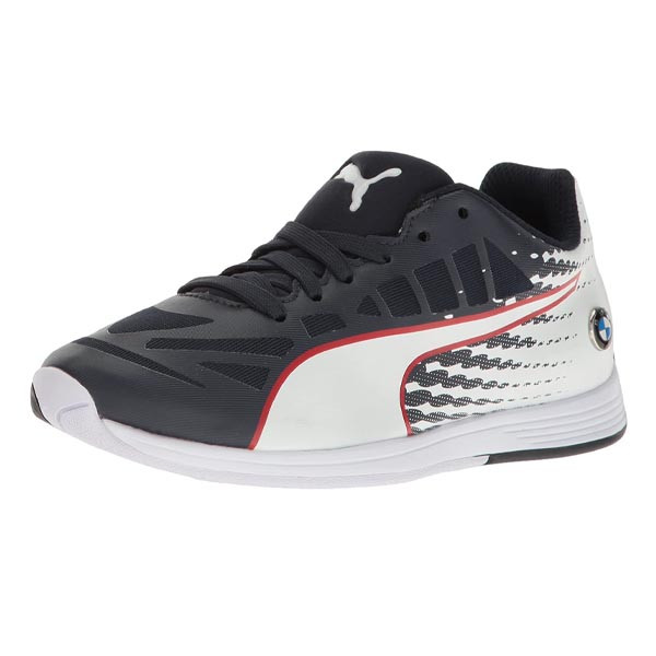 puma bmw ms evospeed