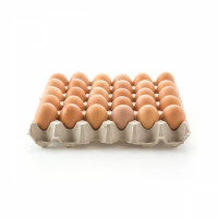 1-tray-egg11.jpg