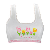 border-pattern-with-flower-bra.jpg