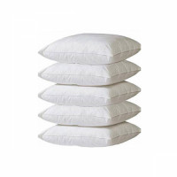 cushion-20x-20inch.jpg