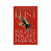 flight-of-the-night-hawks11.jpg