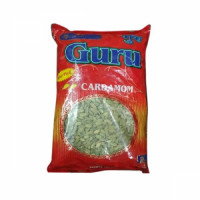 guru-seifh-bh.jpg