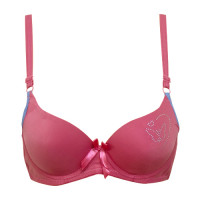 pink-bra-butterfly-matked.jpg