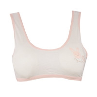 plane-bra-with-baby-pink-rabit-image.jpg