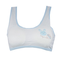 plane-bra-with-blue-rabit-image.jpg