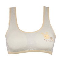 plane-bra-with-cream-rabit-image.jpg