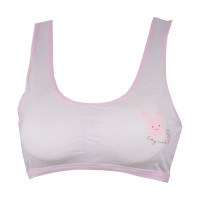 plane-bra-with-light-pink-rabit-image.jpg