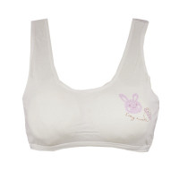 plane-bra-with-light-purple-rabit-image.jpg