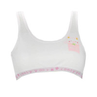 plane-bra-with-pink-dog-image.jpg