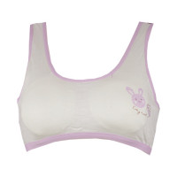 plane-bra-with-purple-rabit-image.jpg