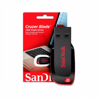 sandisk8gbdrive13.jpg