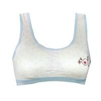 white-bra-with-bird-image.jpg