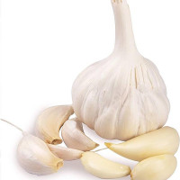 garlic_65ebf6629afd0.jpg