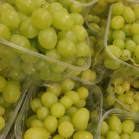 grapes-image_65ebf405cb683.jpg