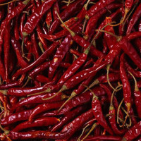 indian-red-chilli-1518677639-3649559_65dd9bc17b553.jpg