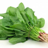 spinach-palak-leaves-palung-saag_65e6b509e9ebb.jpg